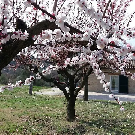 Prázdninový dům Domus Filmar Pesaro