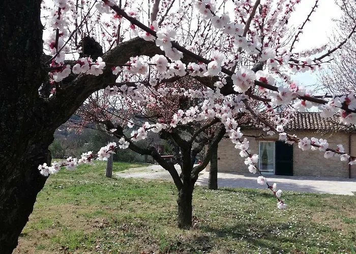Ferienhaus Domus Filmar Pesaro
